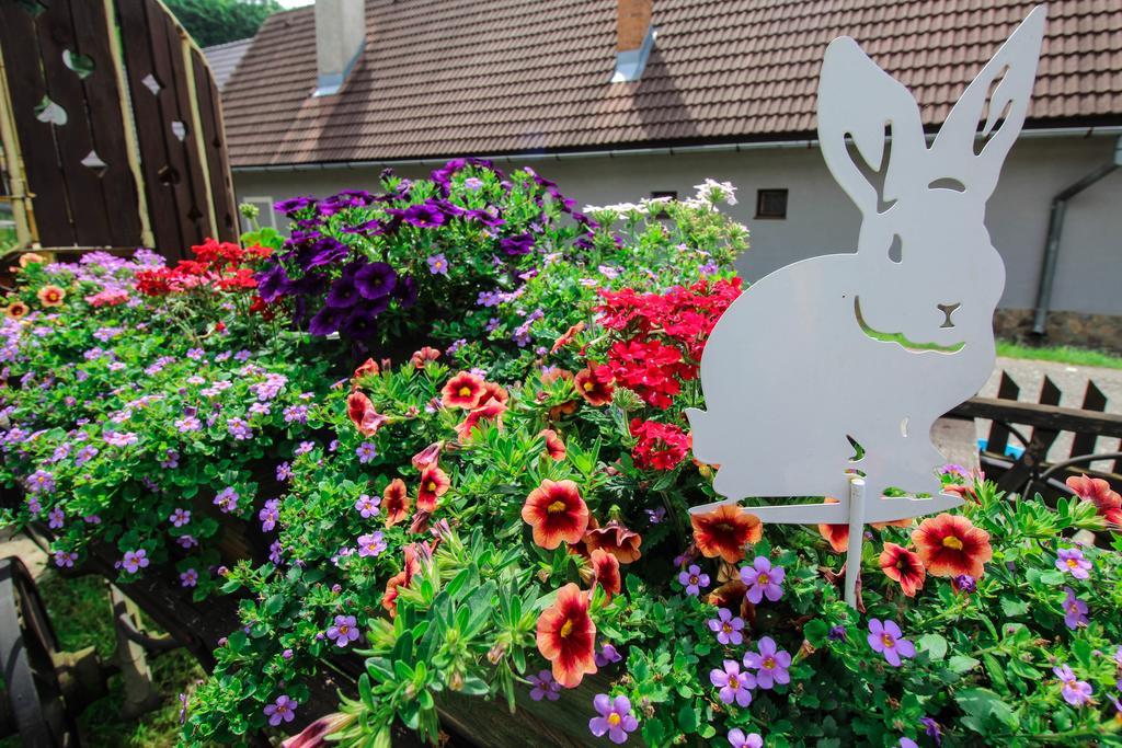 Guest house Stary Hostinec